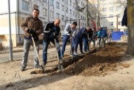 Республиканский субботник в Могилёве Республиканский субботник в Могилёве