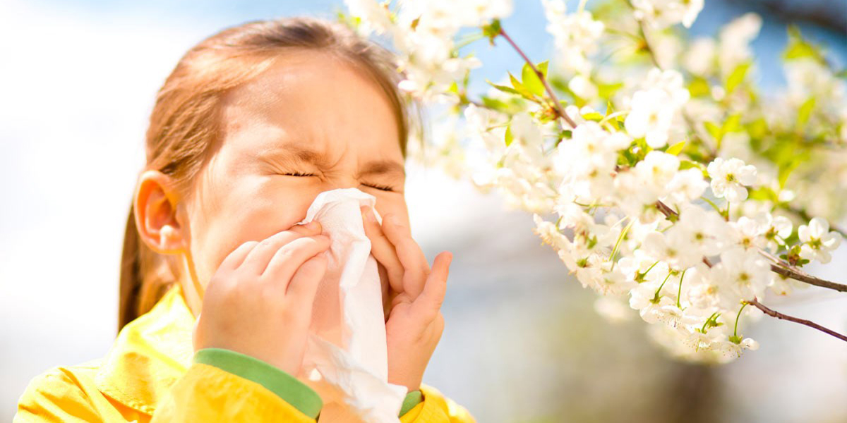 Аллергия «на весну»: могилевские медики рассказали о симптомах и профилактике поллиноза