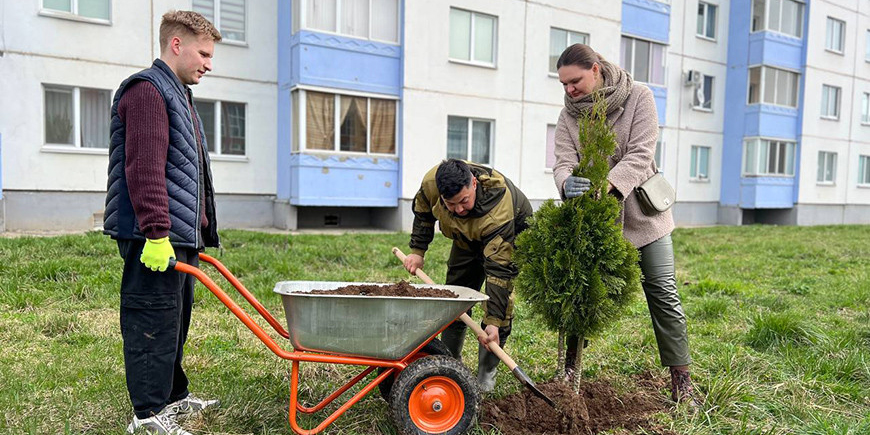 И лес обновили, и аллею в городе: молодежь Могилева присоединилась к акции по озеленению