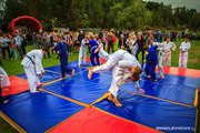 Большой день физической культуры и спорта