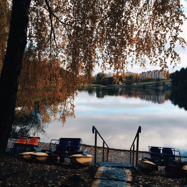 Итоги виртуального фотоконкурса, посвящённого юбилею города, подвели в Могилёве 