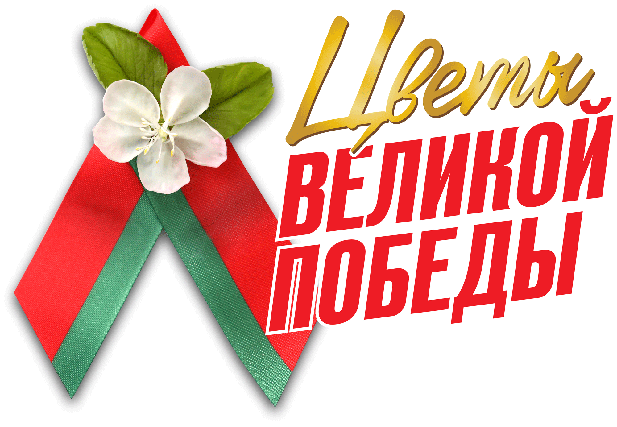 «Цветы Великой Победы»: БРСМ 7 мая поздравит ветеранов Великой Отечественной войны с наступающим праздником