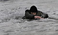 ОСВОД предупреждает об опасности выхода на лёд на реках и водоёмах Могилёва и области
