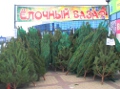 Ёлочные базары начнут работу в Могилёве с 22 декабря 