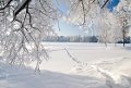 Прогноз погоды в Могилёве на предстоящие выходные: от −18°С до +1°С