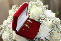 В Могилеве с начала года зарегистрировано 2275 браков