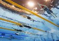 «Весёлый дельфин»: в Могилёве проходят соревнования по плаванию 