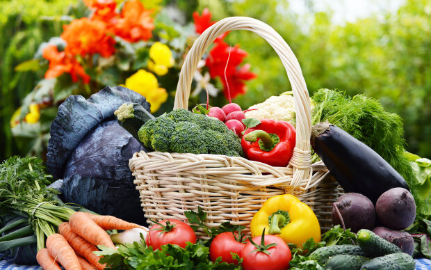 Тыква, чеснок, цитрусовые: как овощи и фрукты помогают в профилактике онкозаболеваний