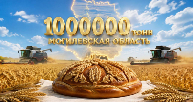 Аграрии Могилевской области намолотили 1 млн тонн зерна
