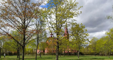 В Могилеве объявили конкурс на лучшую концепцию благоустройства парка им. 60-летия Великого Октября