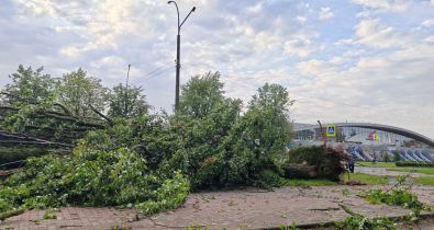 Просим жителей города не оставаться безучастными