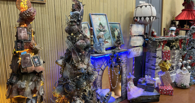 Елка-трансформер, адвент-календарь и огненная лошадь. В Могилеве прошел областной этап «ТехноЕлки»