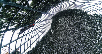 Высота более 30 метров, свыше тысячи лампочек. В Могилеве на площади Ленина устанавливают главную елку региона