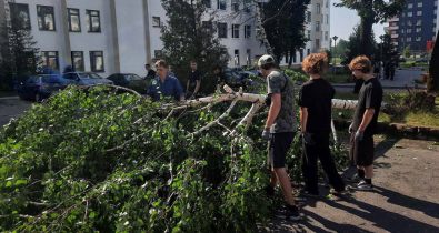 Рабочие коллективы, школьники, студенты: могилевчане помогают наводить порядок в городе после урагана