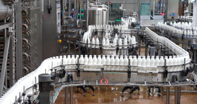 В 26 стран мира поставляет свою продукцию молочный холдинг «Бабушкина крынка». Видео