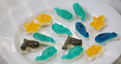 Третьекурсники шутят, что живут в лаборатории. Как в Могилеве готовят элиту пищевой промышленности