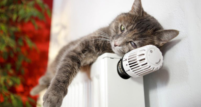 Энергетики рассказали, когда в стране закончится подача тепла