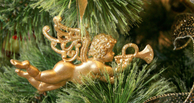 Огни на главной елке Могилевской области зажгут на молодежном шоу 15 декабря