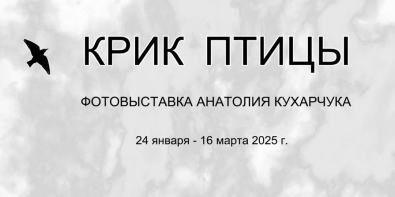 Фотовыставка «Крик птицы» Анатолия Кухарчука начнет работу в Могилеве 24 января 