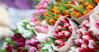 Цветочные ярмарки развернутся во всех микрорайонах Могилева