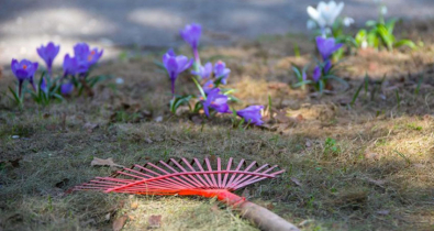 В Могилеве с 16 марта по 18 апреля пройдет месячник по уборке и благоустройству