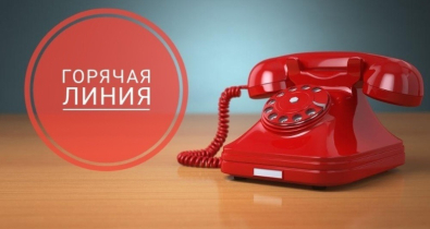 Ждут предложений: горячую линию по вопросам организации образовательного процесса проведут 31 октября 