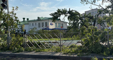 Аварийные бригады восстанавливают электроснабжение в более чем 60 населенных пунктах Беларуси