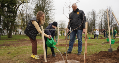 Республиканский субботник: яблоневый сад из 50 деревьев появился в Могилеве