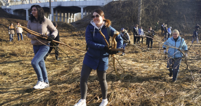 Марафон чистоты: в Могилеве прошел первый весенний субботник