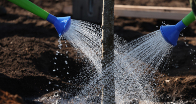 Республиканский субботник проходит в Беларуси