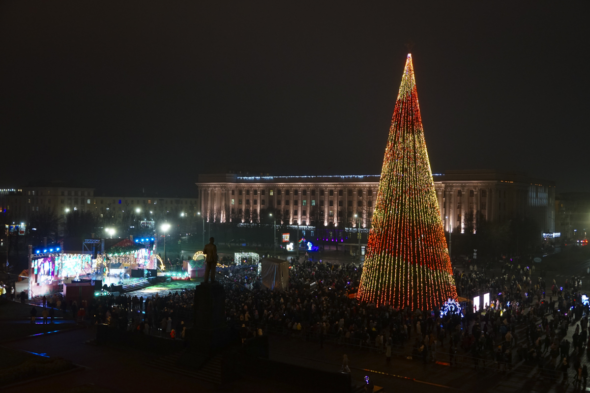 В Могилеве зажгли огни на главной новогодней елке региона