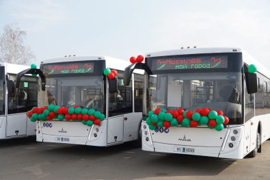 Низкий пол, кондиционеры и камеры: 13 новых «гармошек» готовы сделать поездки по Могилеву комфортнее