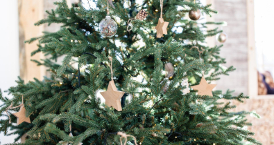 Как законно освободиться на утренник к ребенку, рассказал профсоюзный юрист