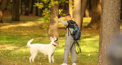 Где нельзя гулять с животными, рассказали в МЖКХ