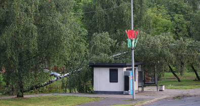 В Могилеве из-за разгула стихии частично остановлена работа городского электротранспорта