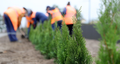 Смотр-конкурс на лучшее благоустройство водного объекта объявили в Беларуси
