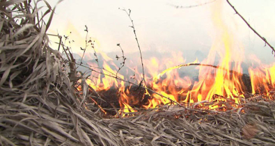 Могилевчане, обратите внимание: за выжигание сухой растительности — штраф!
