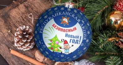  В Могилеве стартовала республиканская акция «Безопасный Новый год!»