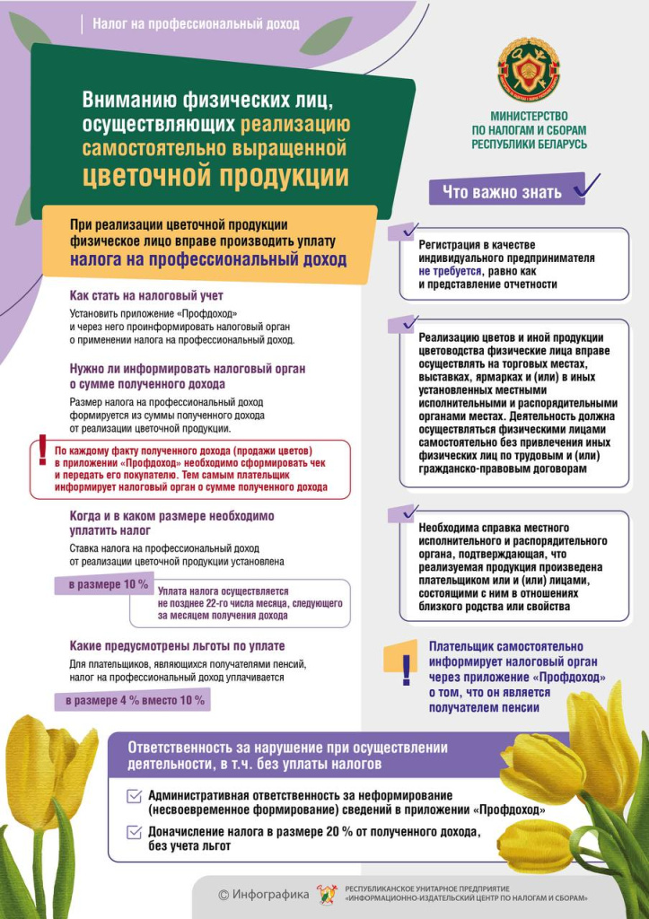 Инфографика продажа цветов_НПД.jpg